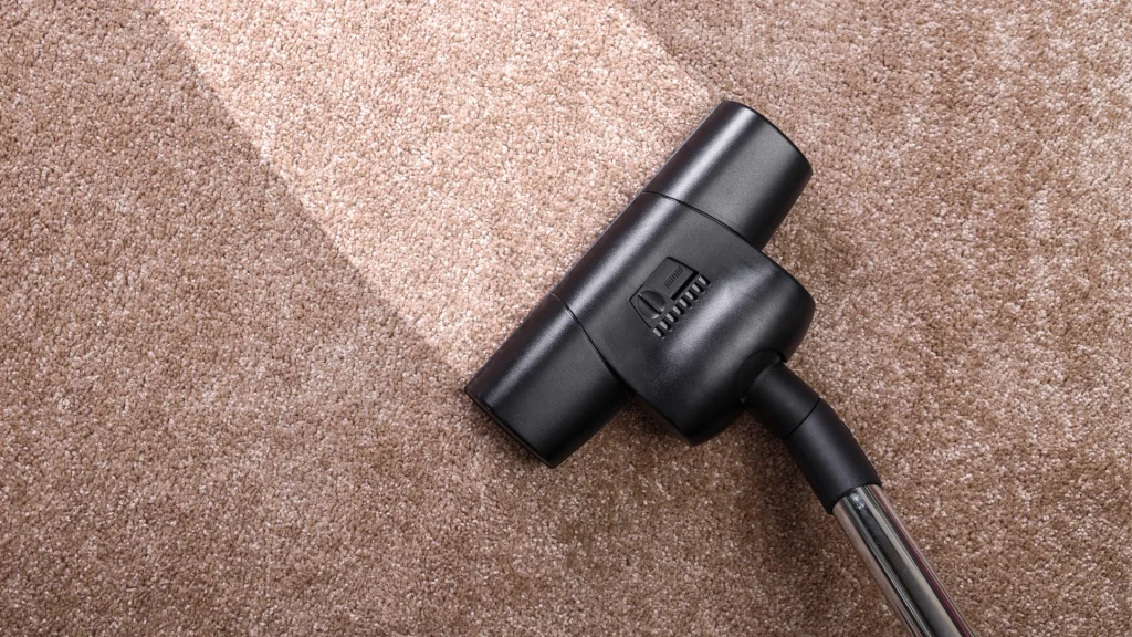 Limpieza del Hogar - Aspiradoras